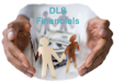 DLS Financials