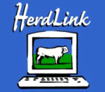 CattleLink
