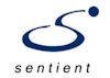 Visual Organization Logo