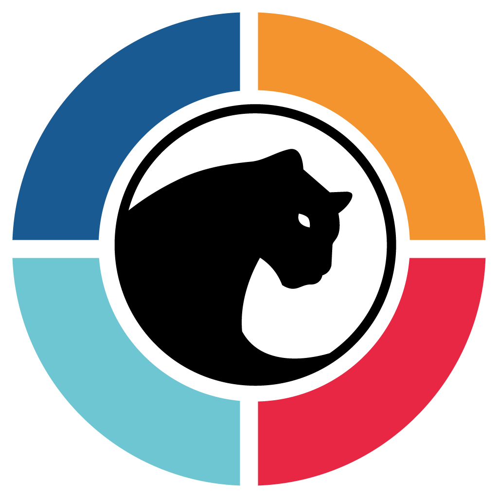 Panthera ERP Cockpit logo