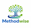 Methodwise logo