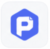 PaySentinel logo