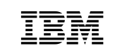 IBM Analytics Engine