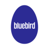 Bluebird logo
