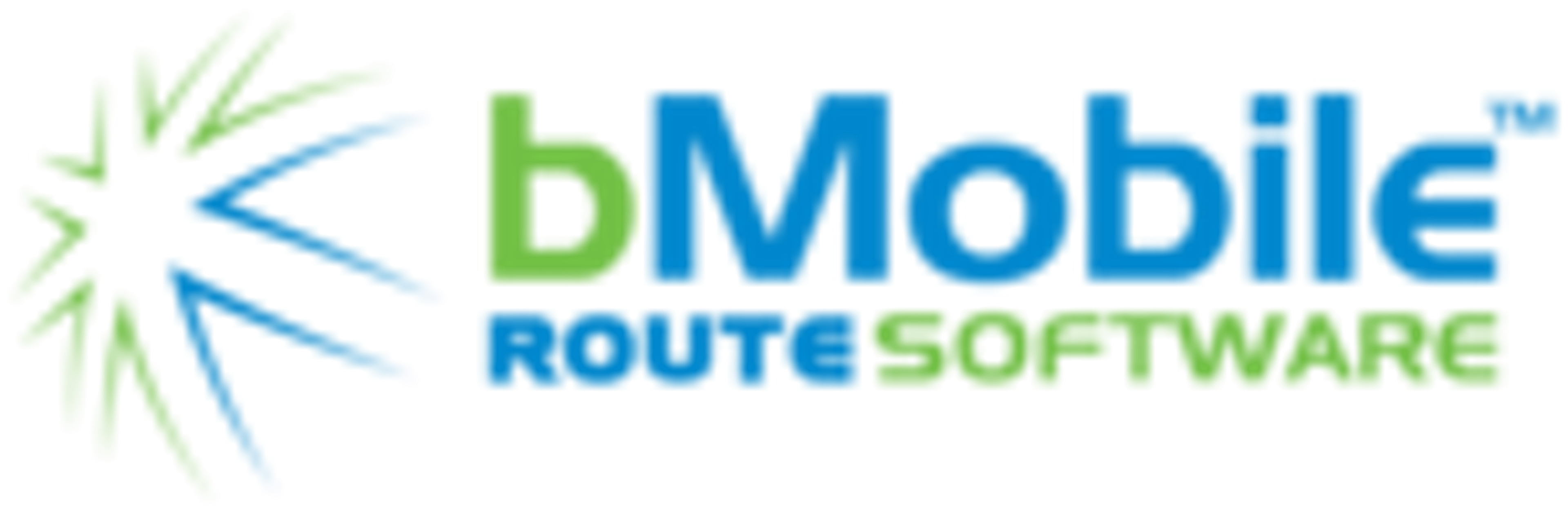 bMobile Order Management Logo