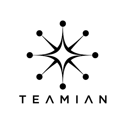 Teamian logo