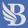 BidLight logo