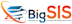 BigSIS logo