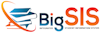 BigSIS's logo
