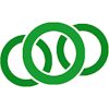 BrizoConsol logo
