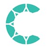 Ctrack logo
