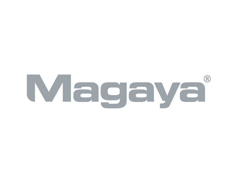 magaya software download