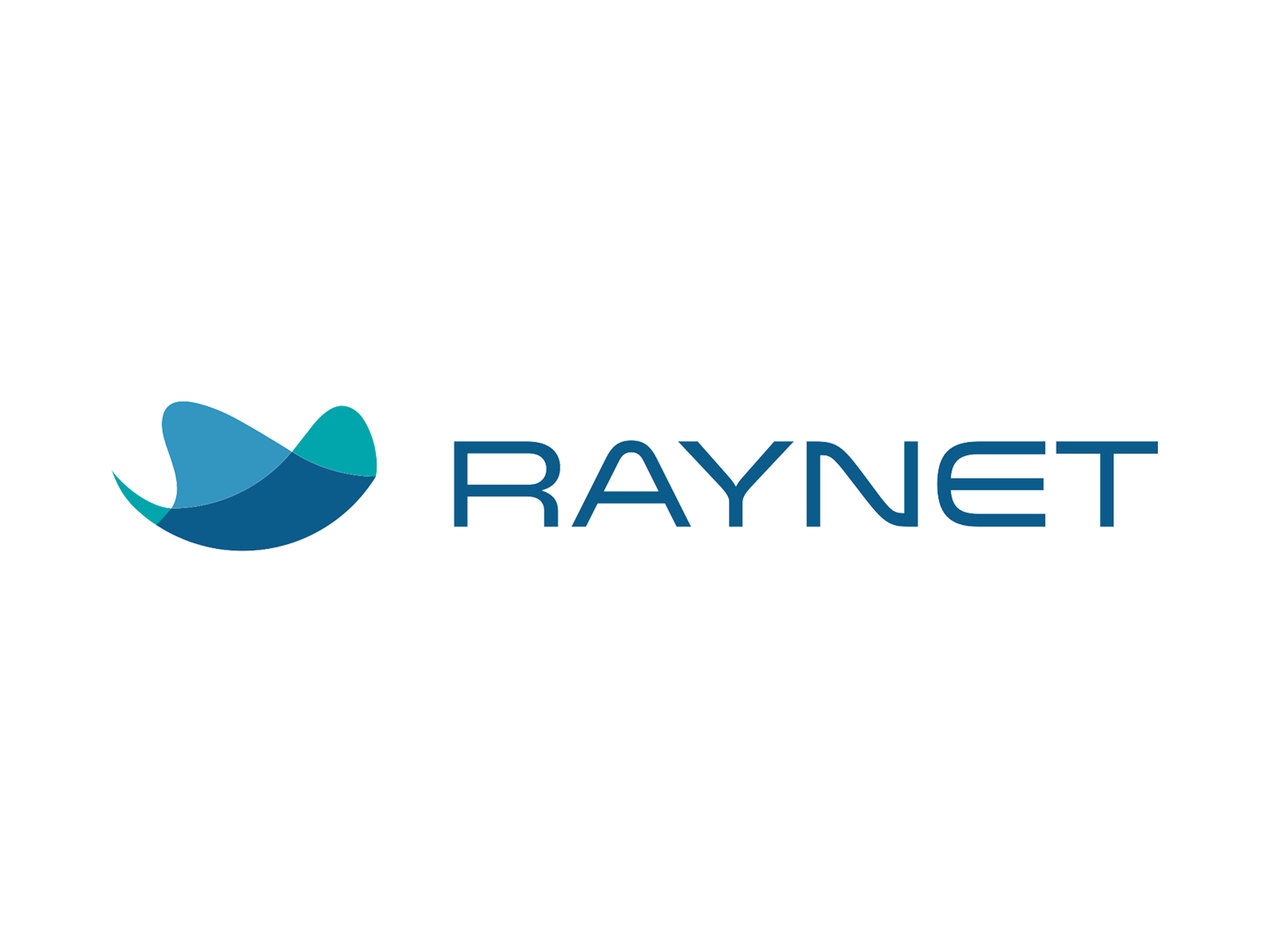 RAYNET CRM Logo
