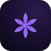 Evoflor logo