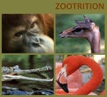 Zootrition