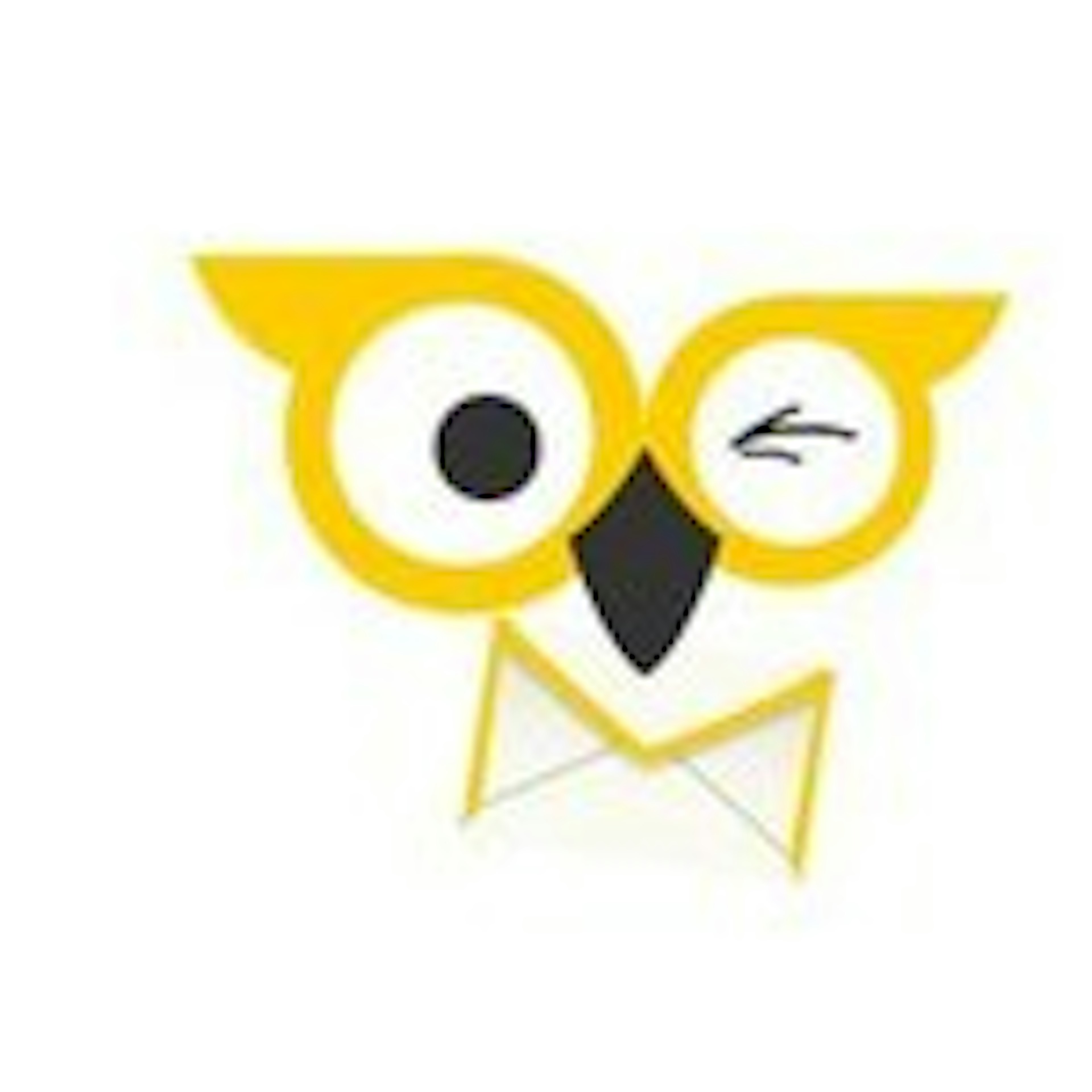 BirdSend Logo