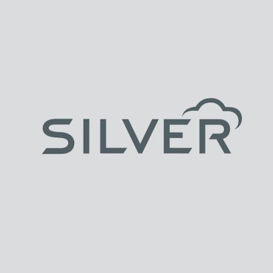 Logotipo de NCR Silver