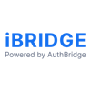 iBridge logo