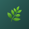 Lumiperi logo