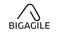 BigAgile logo