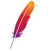 Apache Ignite logo