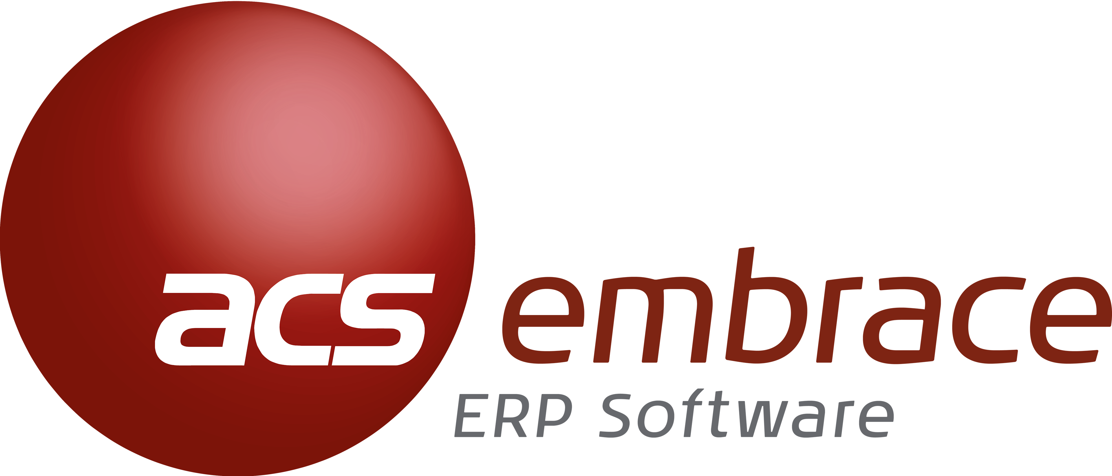 Embrace ERP Logo