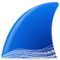 Wireshark logo