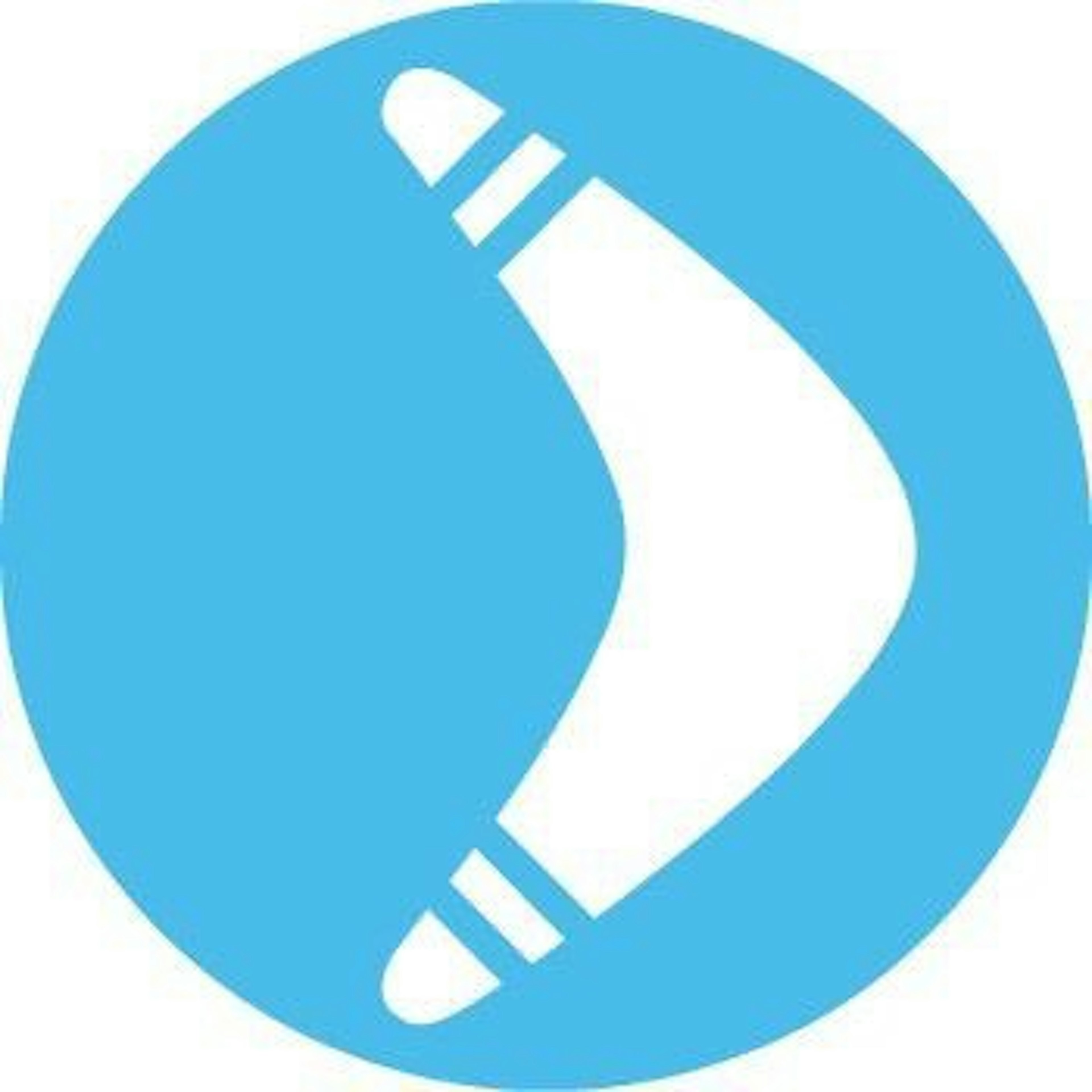 Wiseback Logo