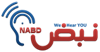 NABD System logo