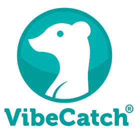 VibeCatch