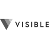 Visible for Companies logo