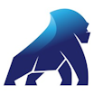 Silverback Systems