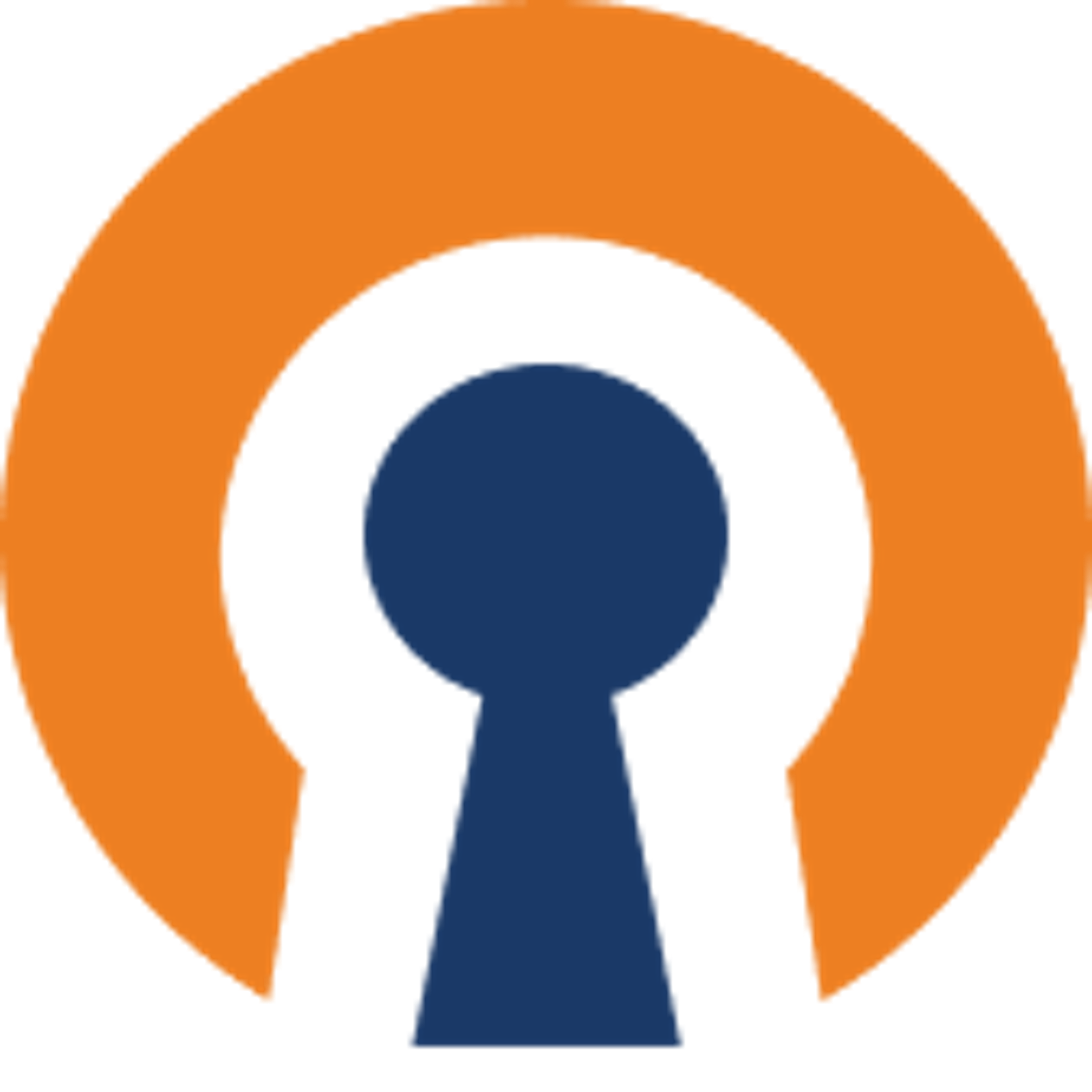 Access Server Logo