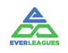 Everleagues logo