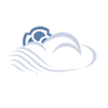 Pro Cloud Server logo