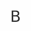 BidTorch logo