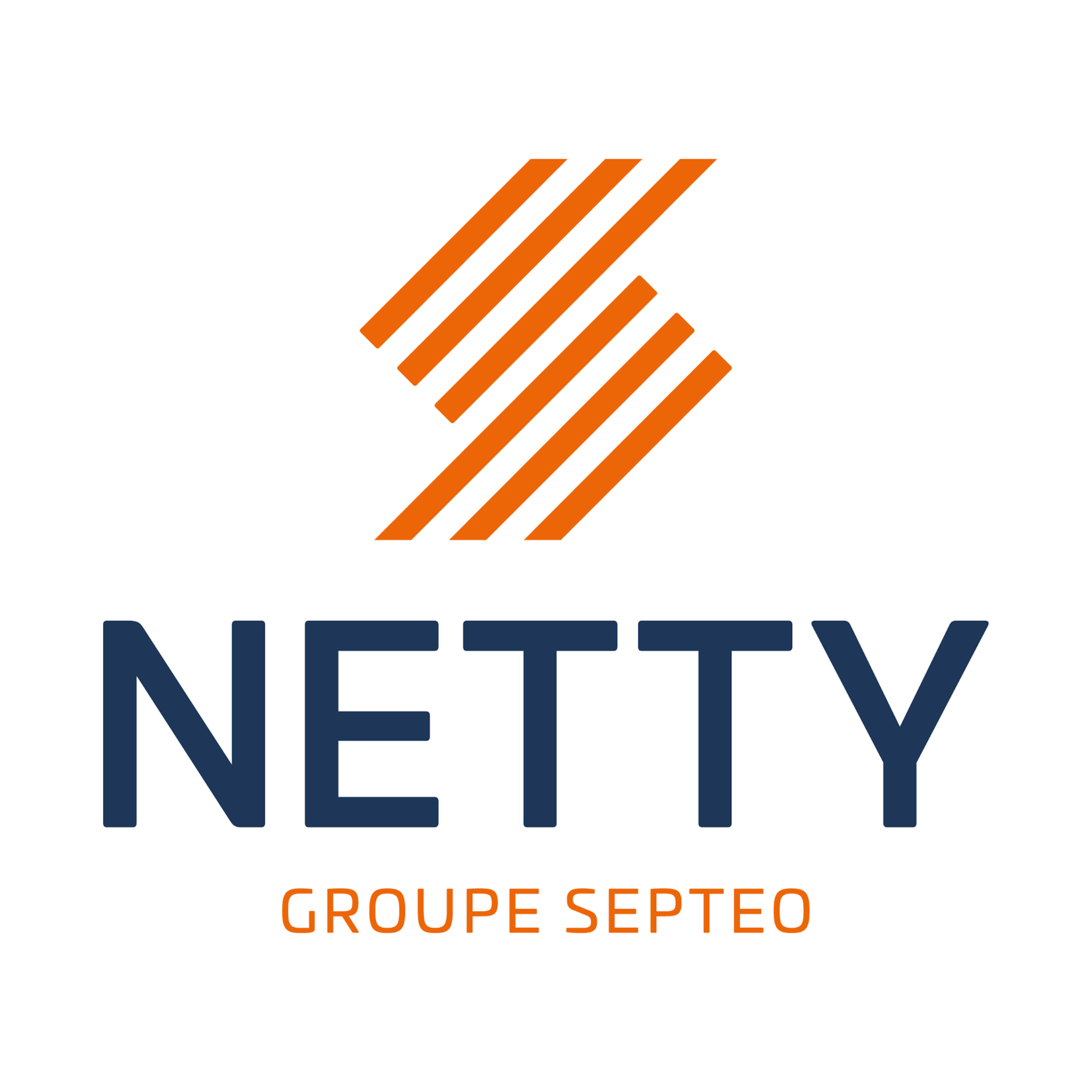 Netty Logo