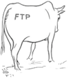 FTP in the Cloud logo