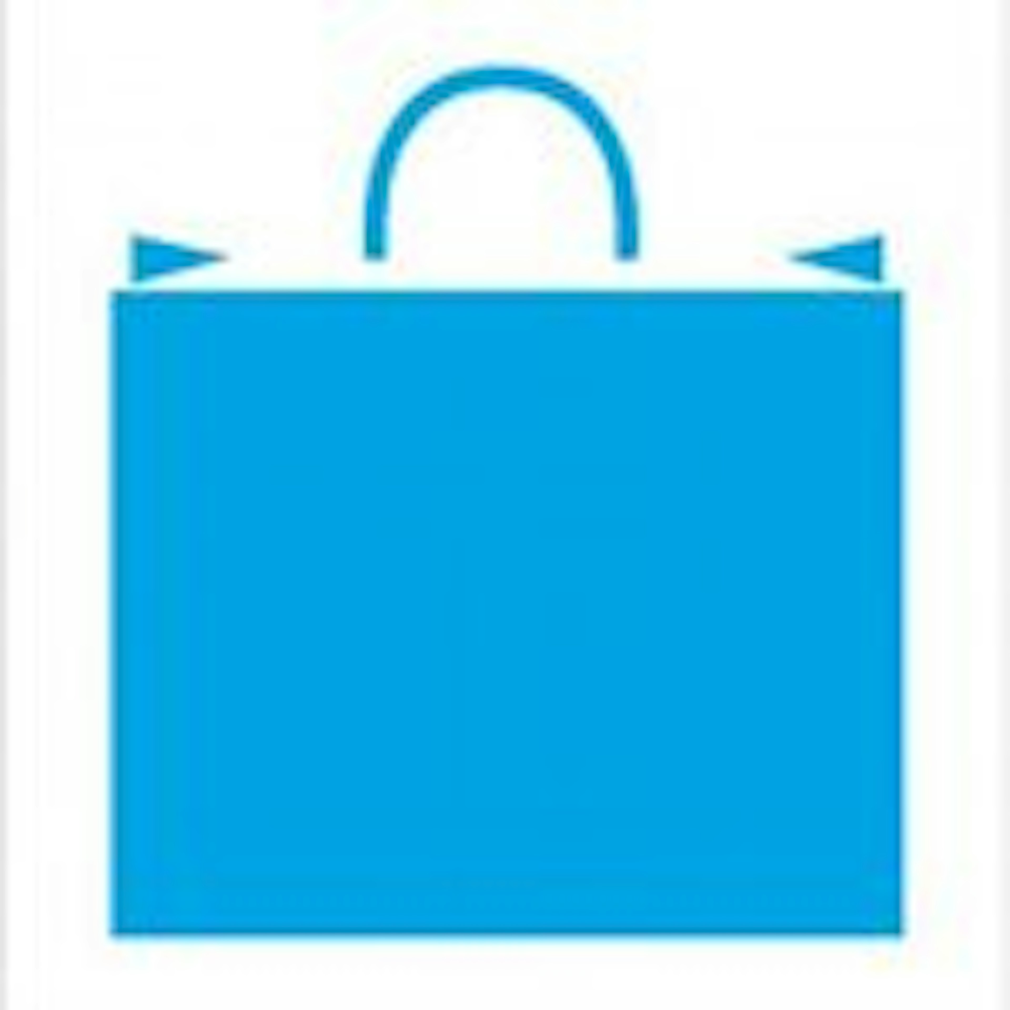 Retail Pro Logo