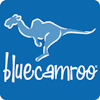 BlueCamroo's logo