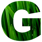 GroundLeader