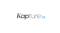 Kapture.IO logo