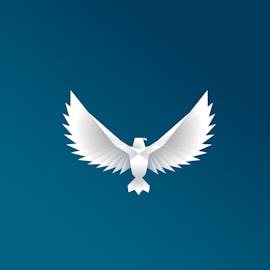FireHawk Funerals