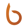 Brasio POS logo