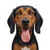 Jedd Social Logo