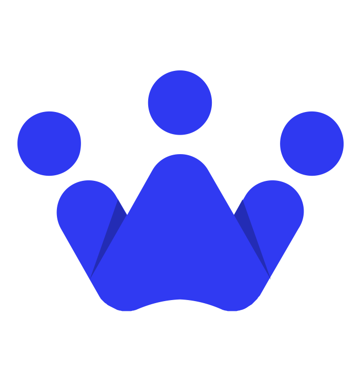 Logotipo do SkyPlanner APS