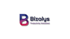 Bizalys logo