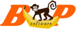 Software Business Plan