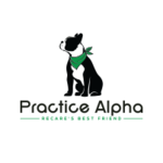 Practice Alpha