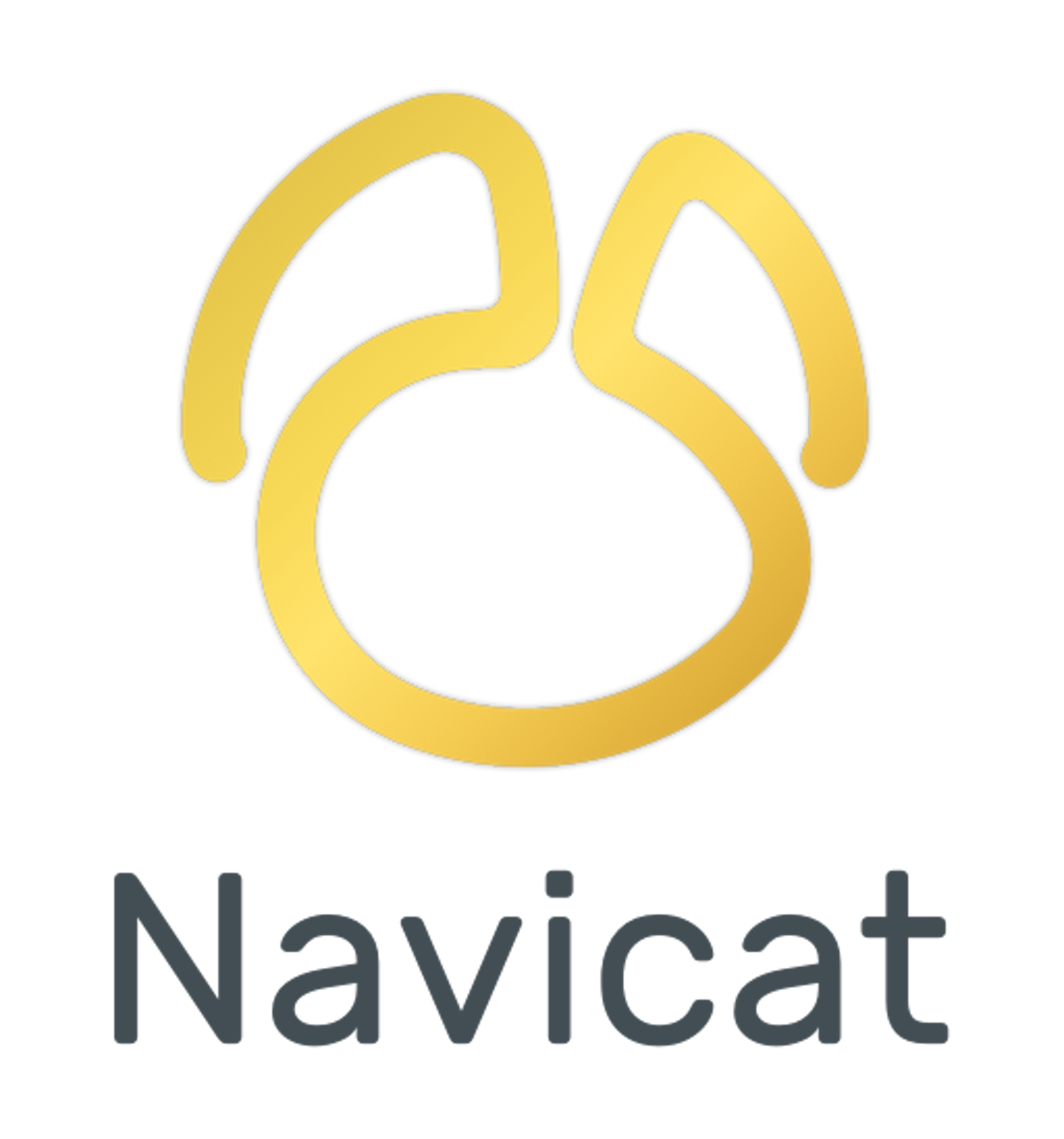 Navicat Premium Logo